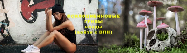 СК Володарск