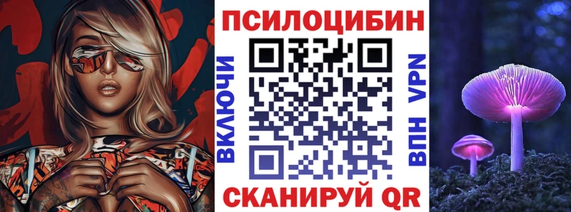 Псилоцибиновые грибы Psilocybine cubensis  Гагарин 